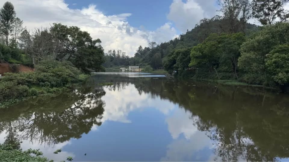 26 Cent Tea Estate Land for Sale – Kattery, Ooty